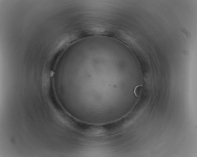 X0000115590642200911101239