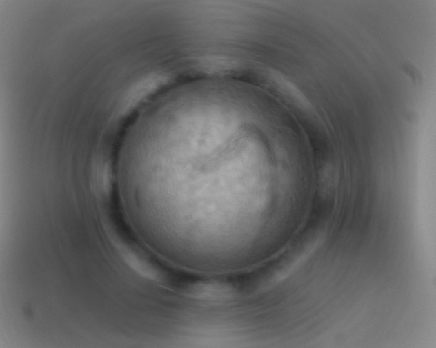 X0000115590644200911101239