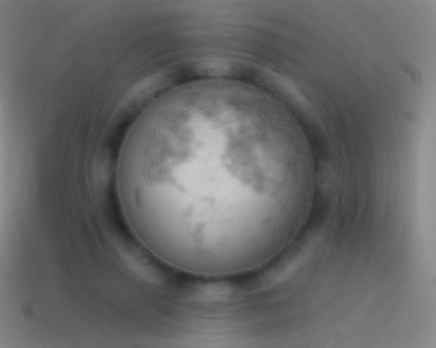 X0000115590645200911101239