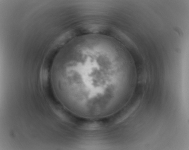 X0000115590646200911101239