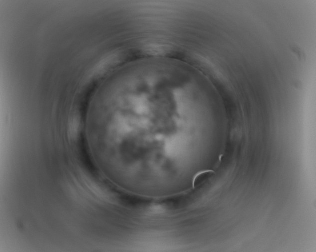 X0000115590647200911101239