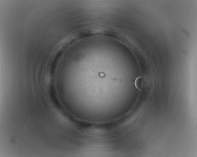 X0000115590648200911101239