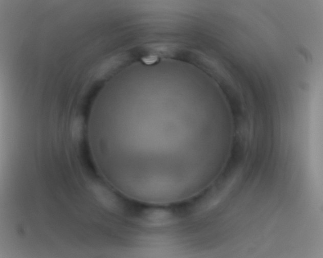 X0000115590649200911101239