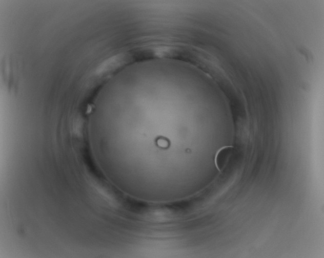 X0000115590650200911101239