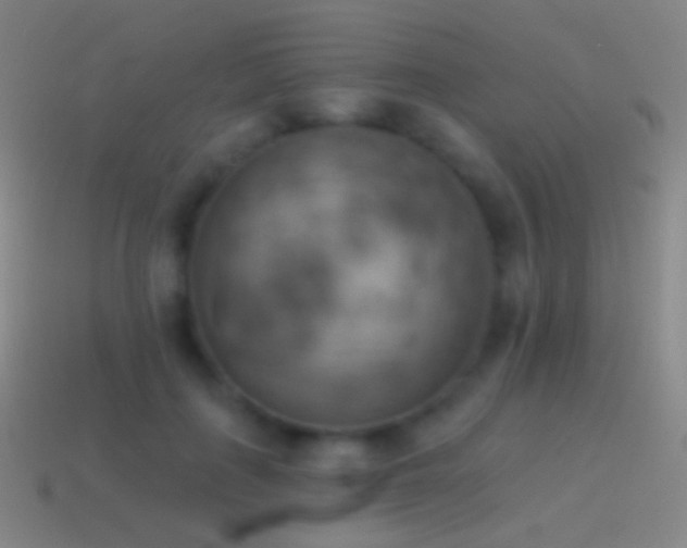 X0000115590651200911101239