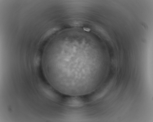 X0000115590652200911101239