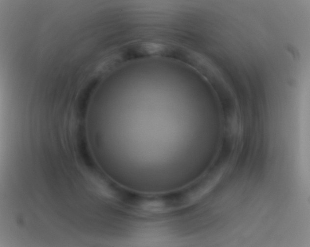 X0000115590653200911101239