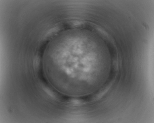 X0000115590654200911101239
