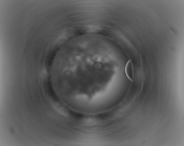 X0000115590655200911101239