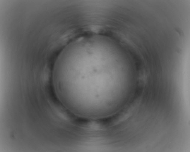 X0000115590656200911101239