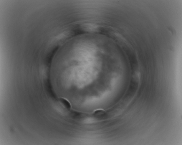 X0000115590658200911101239