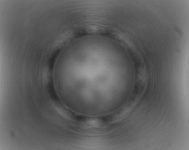 X0000115590659200911101239