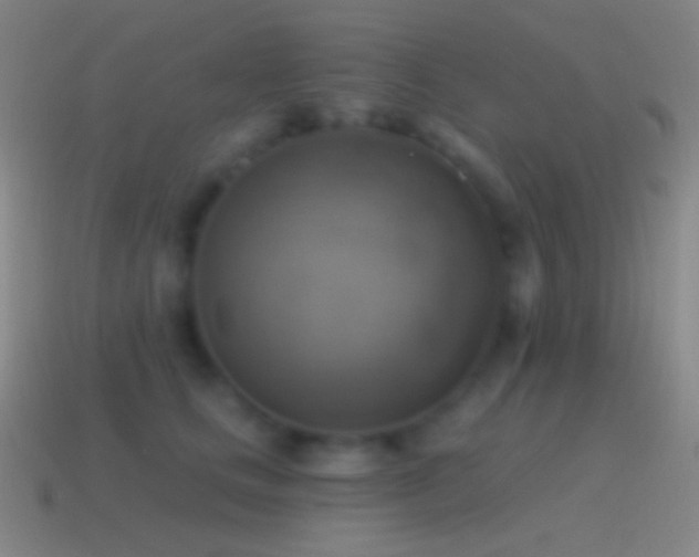 X0000115590661200911101239
