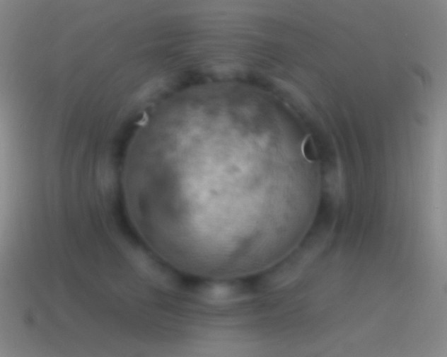 X0000115590662200911101239