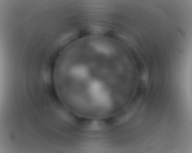 X0000115590663200911101239