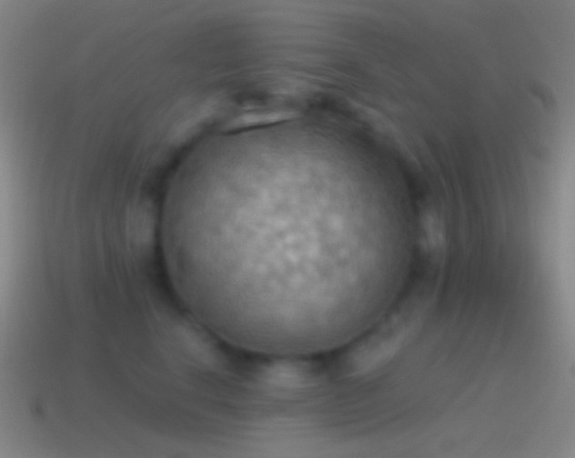 X0000115590664200911101239