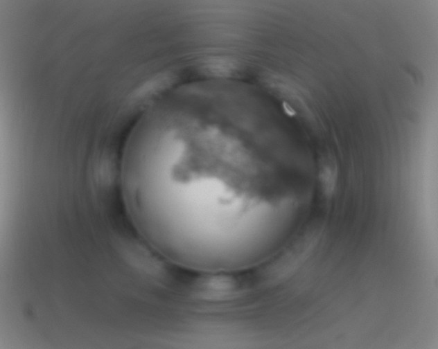 X0000115590665200911101239