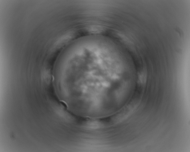 X0000115590666200911101239