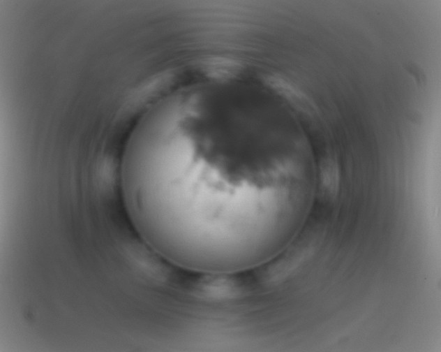 X0000115590667200911101239