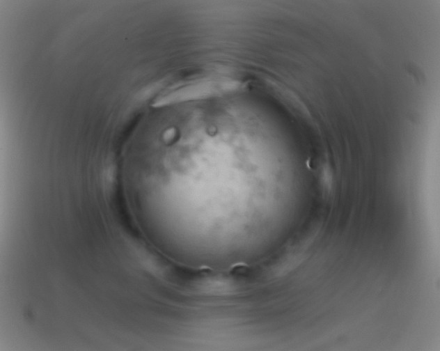 X0000115590668200911101239
