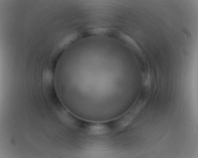 X0000115590669200911101239