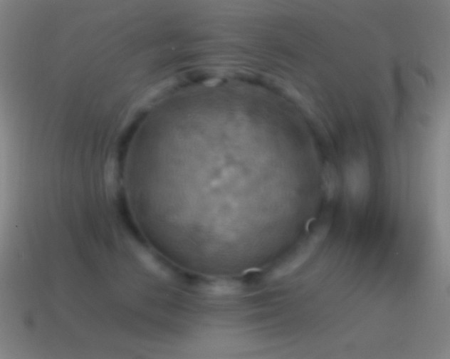 X0000115590670200911101239