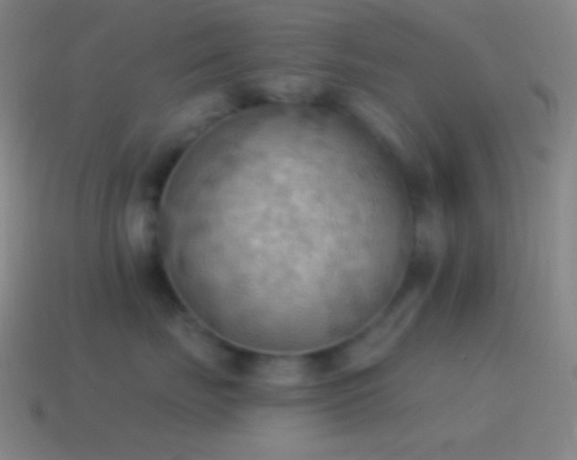 X0000115590671200911101239