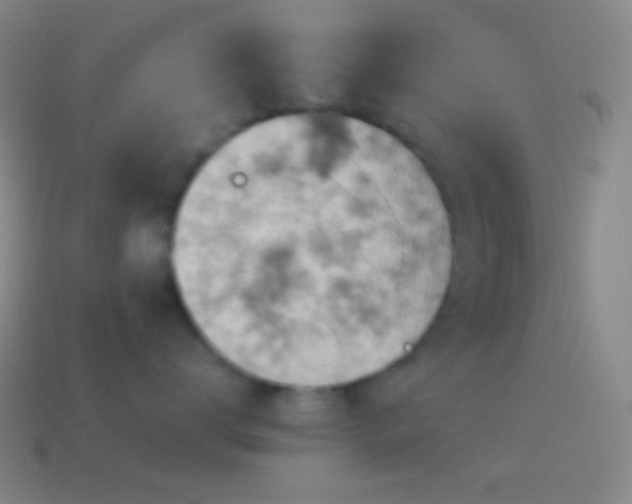 X0000115590672200911101239