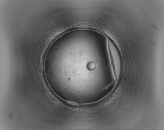 X0000115590673200911101239