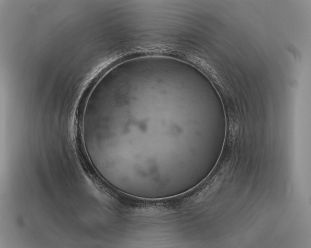 X0000115590674200911101239