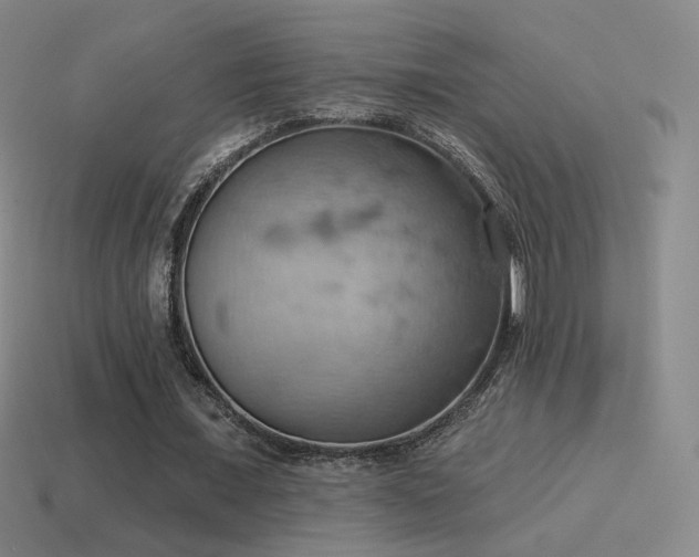 X0000115590675200911101239