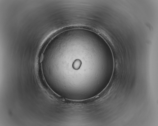 X0000115590676200911101239