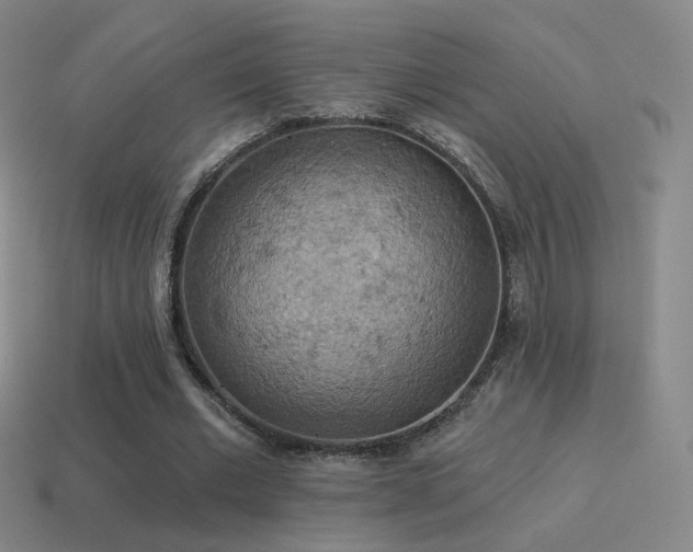 X0000115590677200911101239