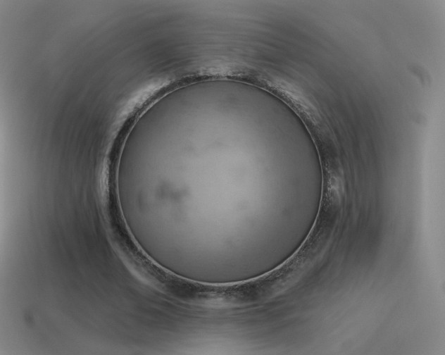 X0000115590678200911101239