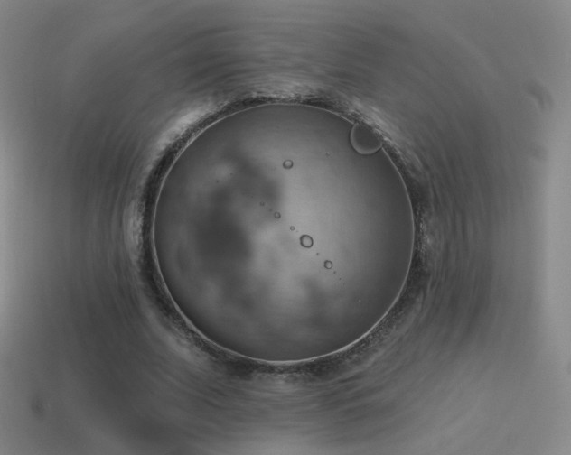 X0000115590679200911101239