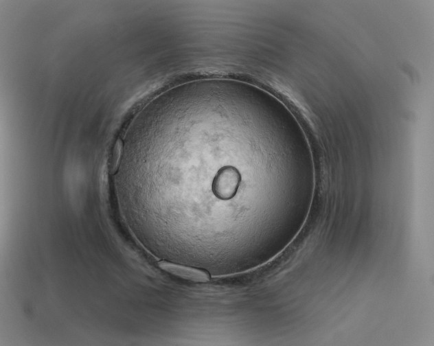 X0000115590681200911101239