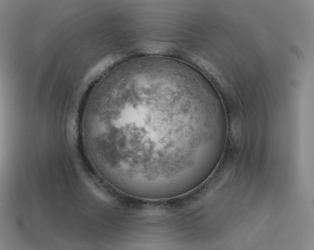 X0000115590682200911101239