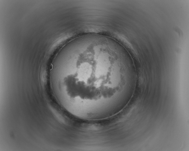 X0000115590683200911101238