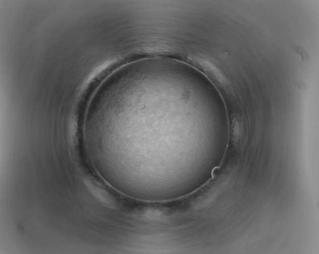 X0000115590684200911101238