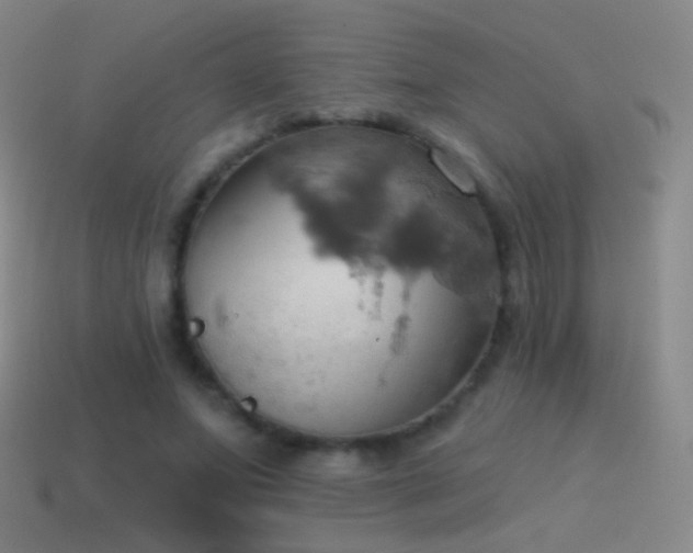 X0000115590687200911101238