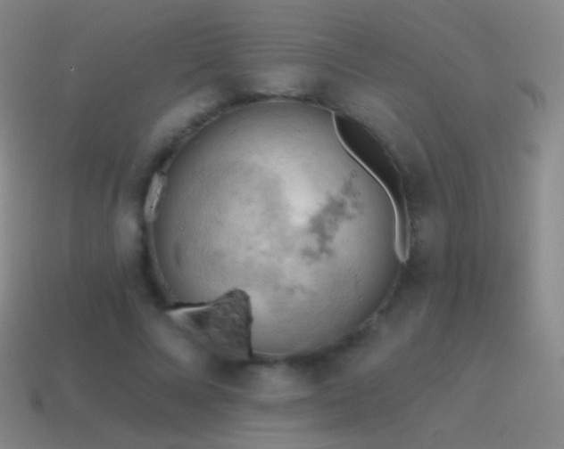 X0000115590688200911101238