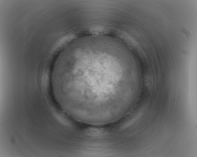 X0000115590690200911101238