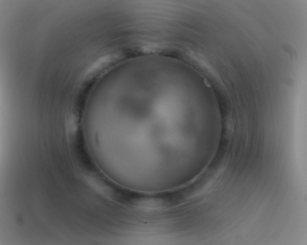 X0000115590691200911101238