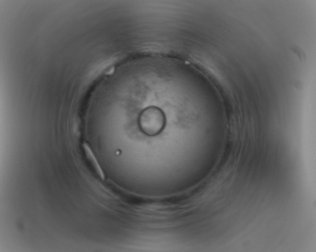 X0000115590692200911101238