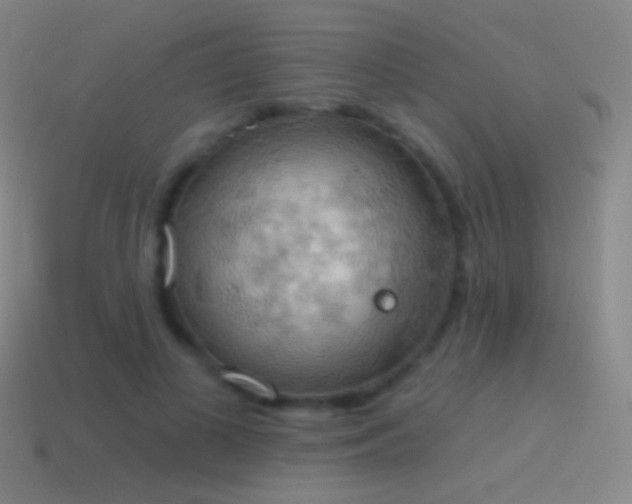 X0000115590693200911101238