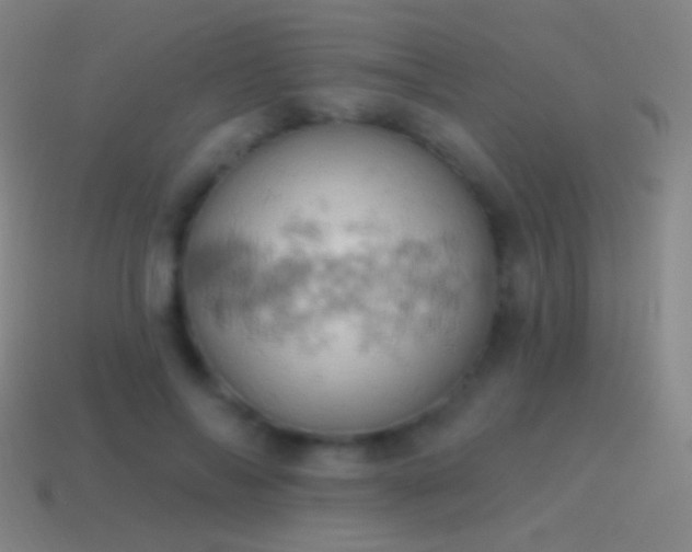 X0000115590694200911101238