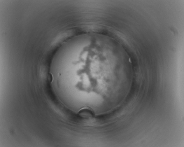 X0000115590695200911101238