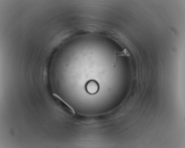 X0000115590696200911101238