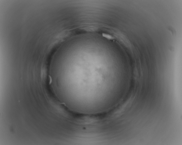 X0000115590697200911101238