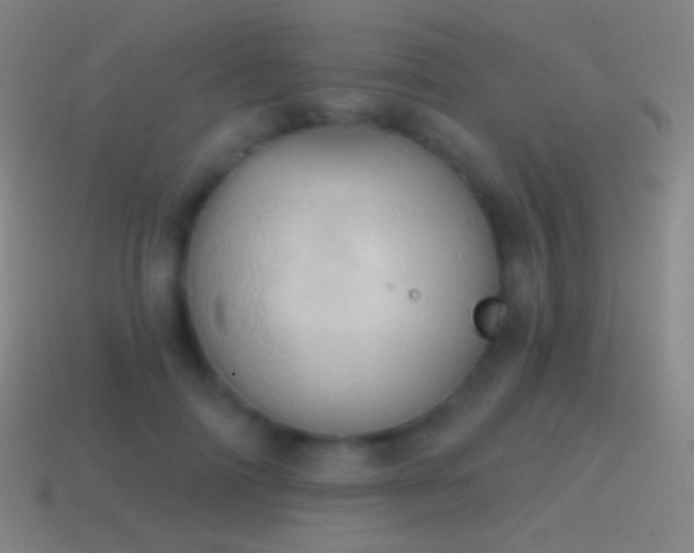 X0000115590698200911101238